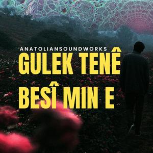 Gulek Tenê Besî Mın E