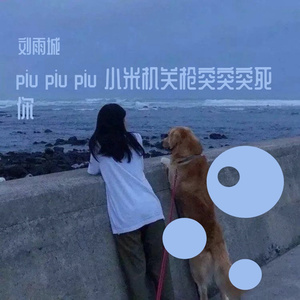刘雨城-piu piu piu小米机关枪突突突你（刘雨城 remix）（刘雨城 remix）