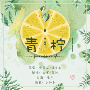 青柠（Cover 徐秉龙）