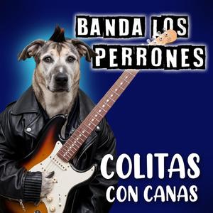 Colitas con Canas (Punky)