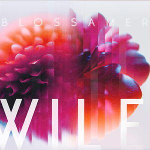 Blossamer