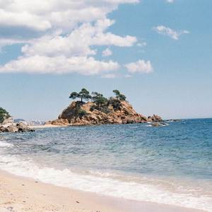 If you dont want love