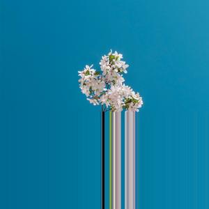 Uncle Vinny's Snazzy New Car