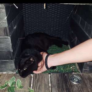 DAY LOVE NIGHT（翻自 满舒克）