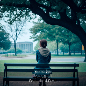 Beautiful Past (Original Mix)