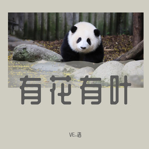 《有花有叶》 VE_浩
