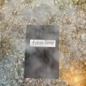 RISKY GAMES (feat. Paradiso XX)