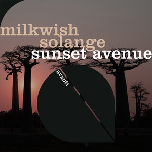 Sunset Avenue (Extended Mix)