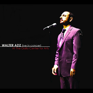 Shara ( Festival) [Live]