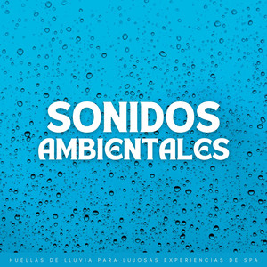 Paisajes Sonoros Lluviosos De Relajación