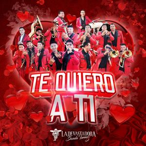 Te quiero a ti