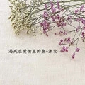渴死在爱情里的鱼