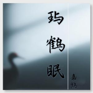 我在人海找到了你(伴奏)