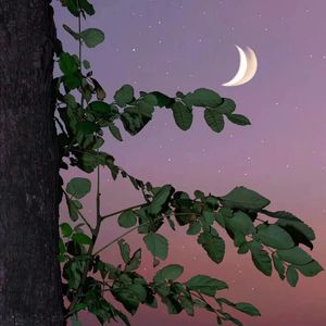 云烟成雨（我多想再见你，哪怕匆匆一眼就别离）