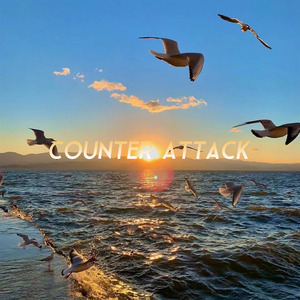 Counter Attack