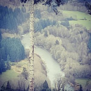 Angel of Darkness (Live)