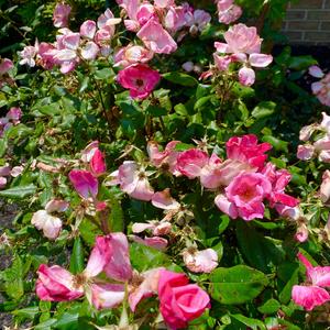 there's something wrong with me