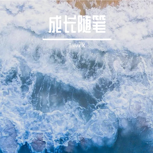 Verbal Jint-成长随笔(Remix)