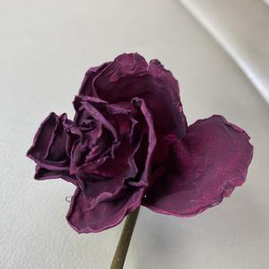 Dreaming with a broken heart