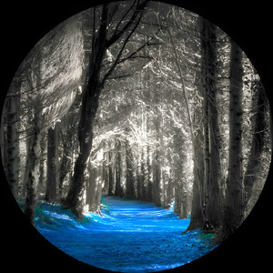 Padurea de Argint (Original Mix)