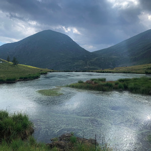 in my arms, despite you making them bleed