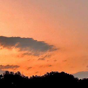 曲终人亦散（Cover 肖恩）