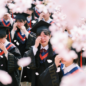 桜舞うあの日の涙