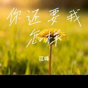 你还要我怎样