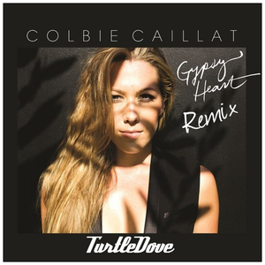 Try (Turtledove斑鸠 Remix）