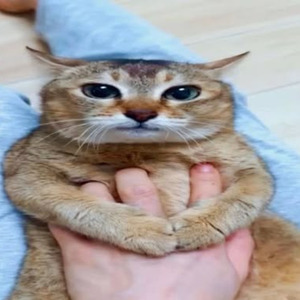 Outlandish (sped up)