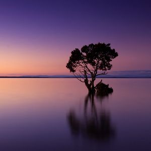 “Dusk” Trap & Hiphop Emo Type Beat