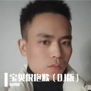 宝贝很抱歉（DJ Remix版）