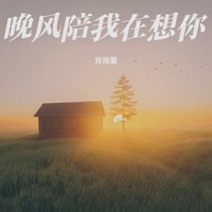 晚风陪我在想你