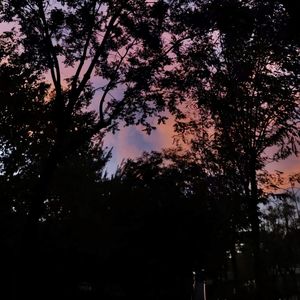 秋天的第一杯奶茶