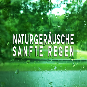 Naturgeräusche: Sanfte Regen, Pt. 33