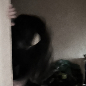 ДЕБИЛ