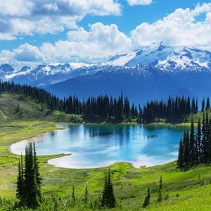 从未如此渴望活着翻唱