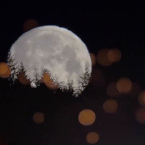 Until the End of Time Just To Find You