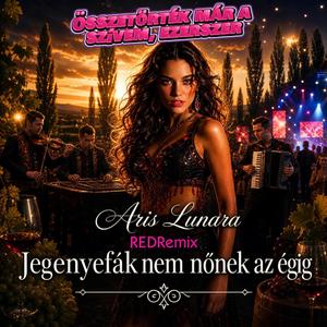 Jegenyefák nem nőnek az égig (REDRemix)