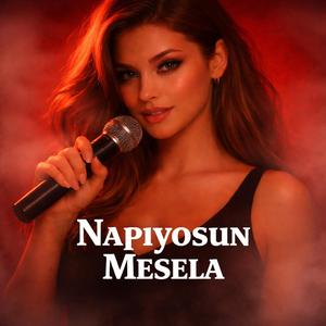 NAPIYOSUN MESELA