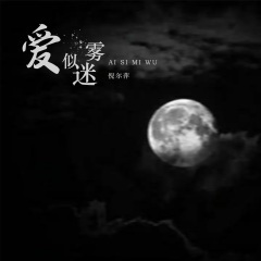 爱似迷雾 (DJ阿卓版)