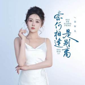 奈何相逢是别离