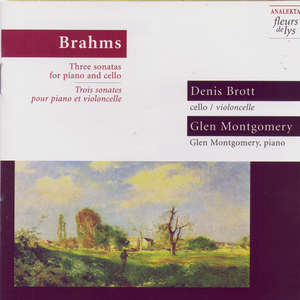 Sonata for Piano and Cello in E minor, Op. 38: Allegro ma non troppo (Brahms)