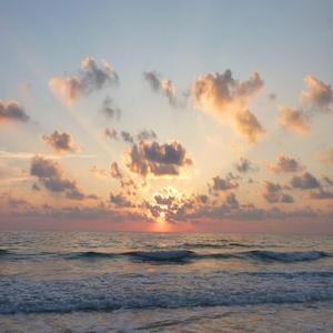 순하게 잠드는 순한 멜로디