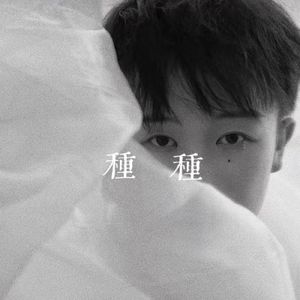 种种