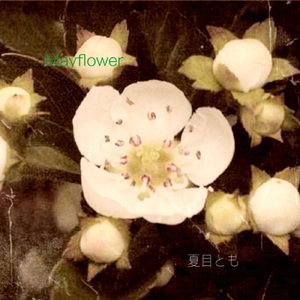 なみだのかたち