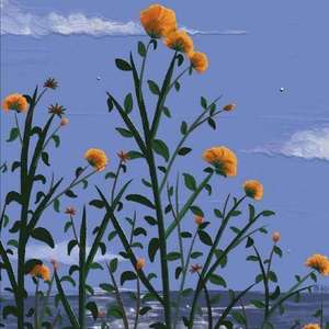 画（Pord.Furyl，4-Chords)