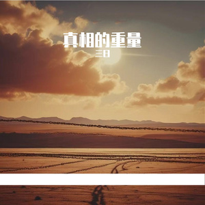 真相的重量