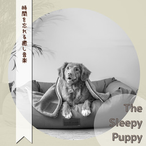 The Stars are Quiet Tonight