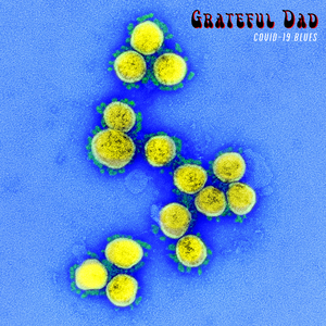 Where Did All the Bog Rolls Go?